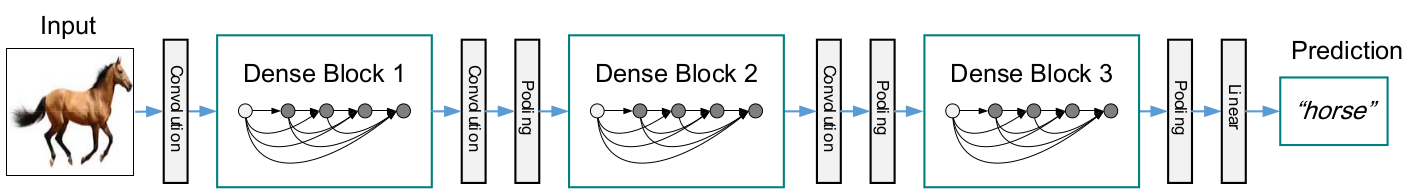 DenseNet 网络结构